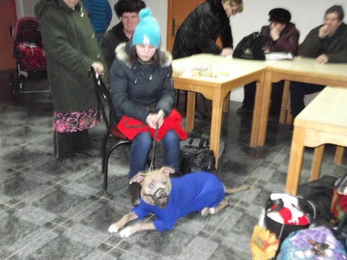 710x533x05.jpg.pagespeed.ic.u2LJl_IKkv56YnOjRFZV 710x533x05.jpg.pagespeed.ic.u2LJl_IKkv56YnOjRFZV