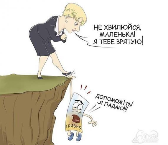 Випадковий «політ» гривні чи запланована дестабілізація еко..., фото-2 Випадковий «політ» гривні чи запланована дестабілізація економіки України, фото-2