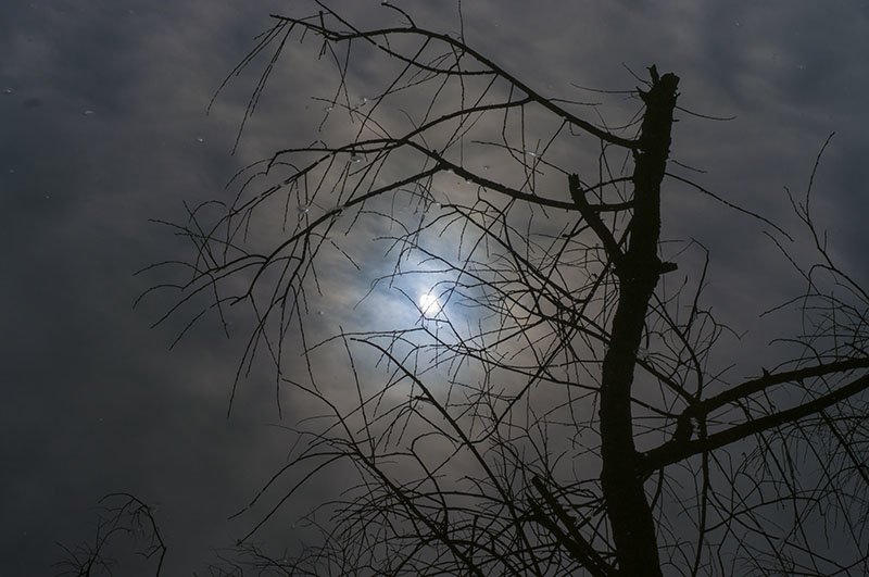 Краденое солнце. Сегодня жители белгорода наблюдали солнечное затмение (фото) - фото 3