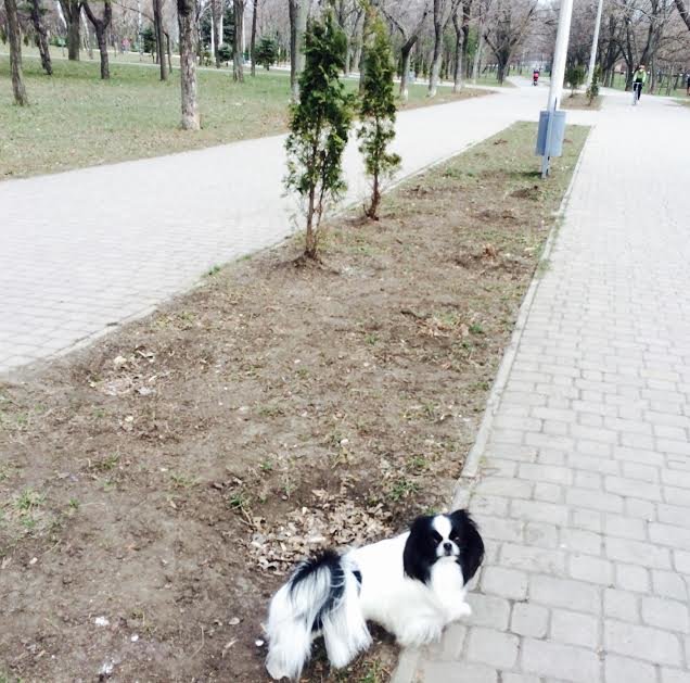 ваааыв ваааыв