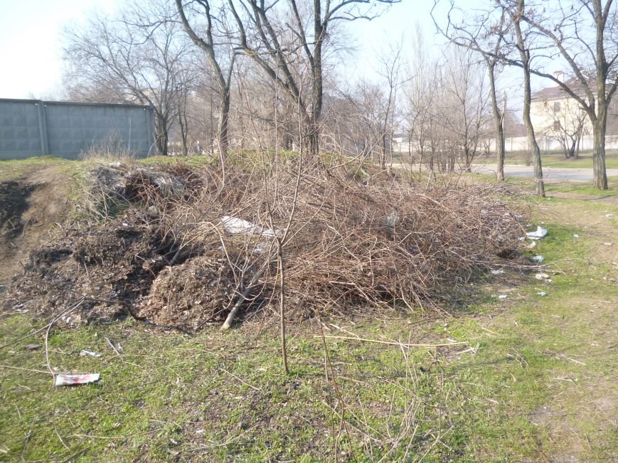 Жители Кривого Рога доказали, что могут собственными силами сделать город чище (ФОТО) (фото) - фото 1 Жители Кривого Рога доказали, что могут собственными силами сделать город чище (ФОТО) (фото) - фото 1