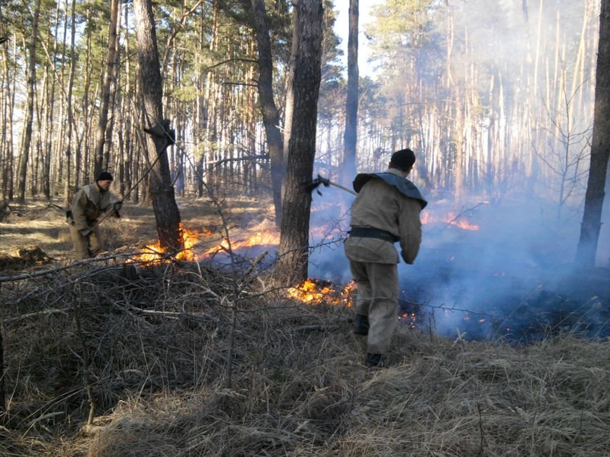 Масштабна пожежа на Полтавщині, вигоріло 15 гектарів (фото) - фото 1 Масштабна пожежа на Полтавщині, вигоріло 15 гектарів (фото) - фото 1
