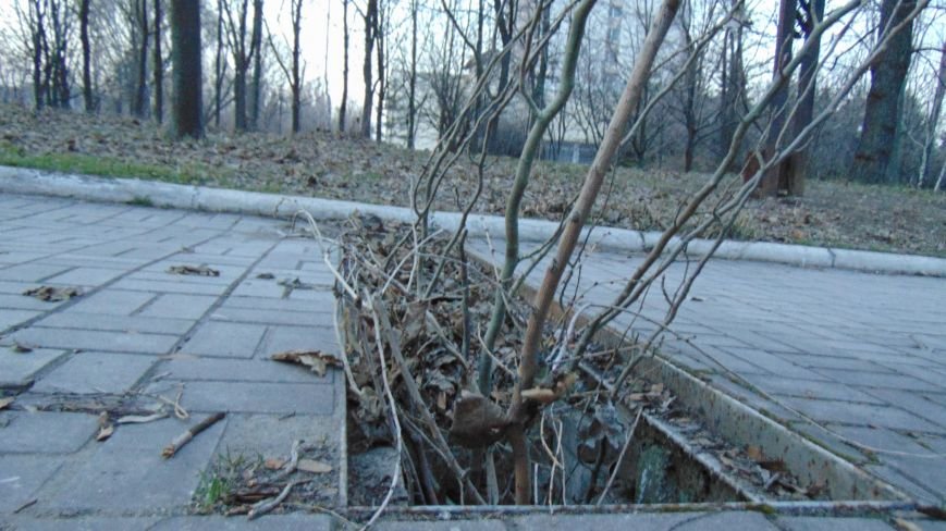 В Мариупольском «Здоровье» появилась опасность здоровье потерять (ФОТОФАКТ) (фото) - фото 1 В Мариупольском «Здоровье» появилась опасность здоровье потерять (ФОТОФАКТ) (фото) - фото 1