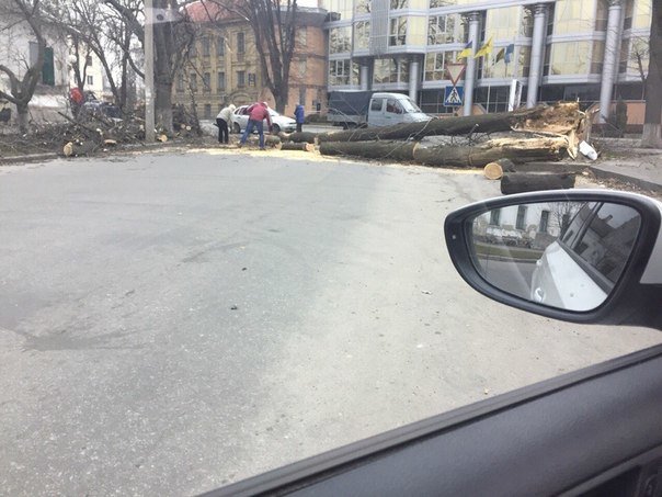 У Полтаві вітер ламав дерева та зносив дахи (ФОТО) (фото) - фото 1 У Полтаві вітер ламав дерева та зносив дахи (ФОТО) (фото) - фото 1