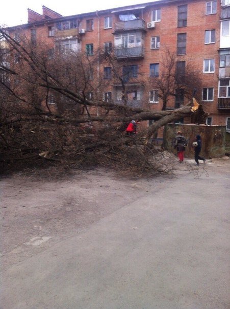 У Полтаві вітер ламав дерева та зносив дахи (ФОТО) (фото) - фото 3 У Полтаві вітер ламав дерева та зносив дахи (ФОТО) (фото) - фото 3