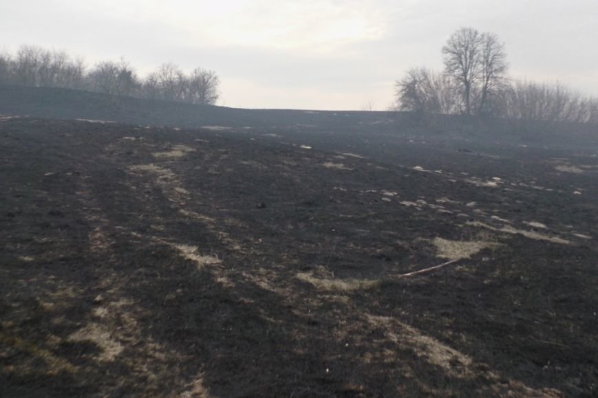 На Черниговщине чуть не сгорело целое село (фото) - фото 1 На Черниговщине чуть не сгорело целое село (фото) - фото 1