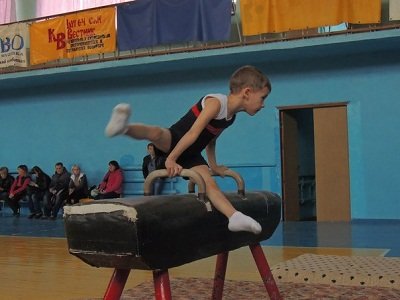 В Макеевке прошел городской турнир по спортивной гимнастике (фото) - фото 1 В Макеевке прошел городской турнир по спортивной гимнастике (фото) - фото 1