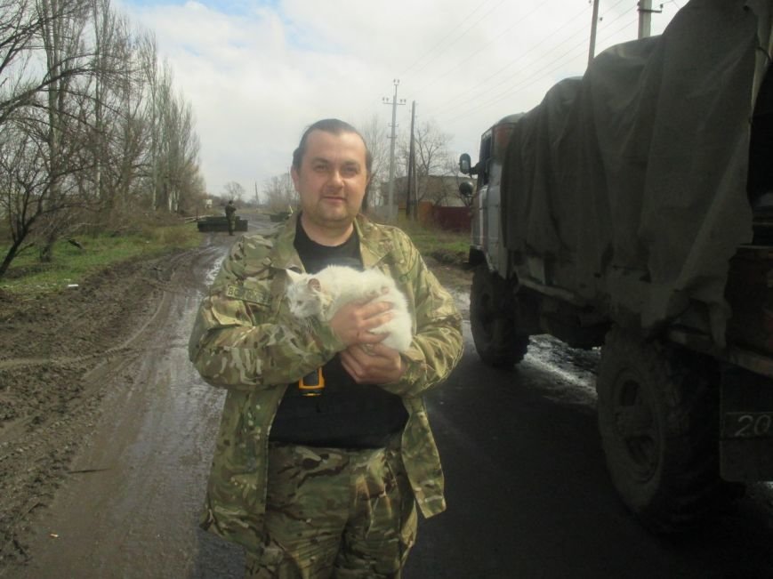 Криворожские волонтеры эвакуировали из-под обстрелов брошенную хозяевами кошку (ФОТО) (фото) - фото 1 Криворожские волонтеры эвакуировали из-под обстрелов брошенную хозяевами кошку (ФОТО) (фото) - фото 1