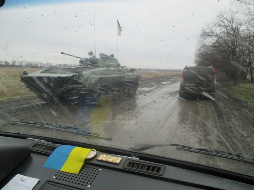 Криворожские волонтеры эвакуировали из-под обстрелов брошенную хозяевами кошку (ФОТО) (фото) - фото 1 Криворожские волонтеры эвакуировали из-под обстрелов брошенную хозяевами кошку (ФОТО) (фото) - фото 1