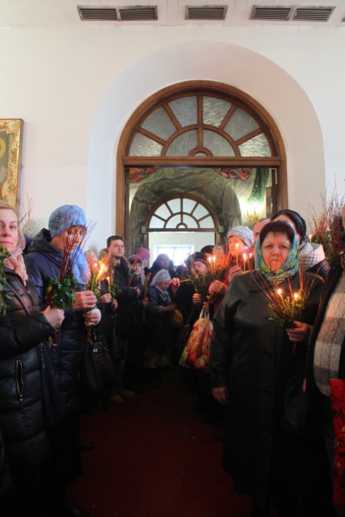 Житомиряни легенько били один одного освяченою вербою (фото) - фото 1 Житомиряни легенько били один одного освяченою вербою (фото) - фото 1