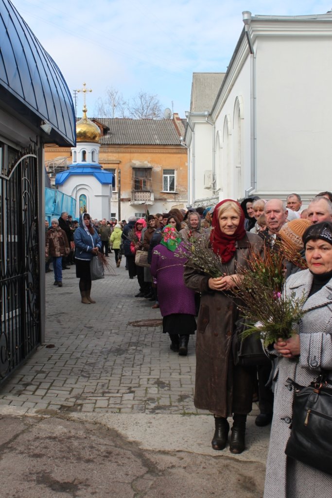 Житомиряни легенько били один одного освяченою вербою (фото) - фото 1 Житомиряни легенько били один одного освяченою вербою (фото) - фото 1