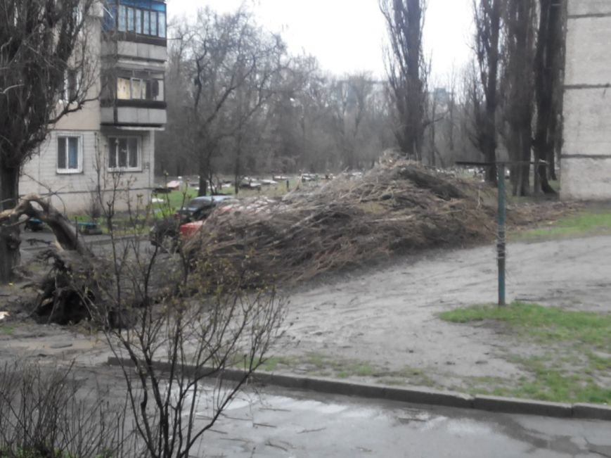 Последствия непогоды в Кривом Роге: деревом придавило ВАЗ, оборвало электропровода и перекрыло дорогу (ФОТО) (фото) - фото 2 Последствия непогоды в Кривом Роге: деревом придавило ВАЗ, оборвало электропровода и перекрыло дорогу (ФОТО) (фото) - фото 2