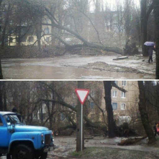 Последствия непогоды в Кривом Роге: деревом придавило ВАЗ, оборвало электропровода и перекрыло дорогу (ФОТО) (фото) - фото 6 Последствия непогоды в Кривом Роге: деревом придавило ВАЗ, оборвало электропровода и перекрыло дорогу (ФОТО) (фото) - фото 6