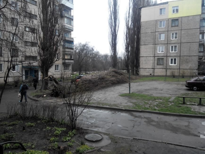 Последствия непогоды в Кривом Роге: деревом придавило ВАЗ, оборвало электропровода и перекрыло дорогу (ФОТО) (фото) - фото 2 Последствия непогоды в Кривом Роге: деревом придавило ВАЗ, оборвало электропровода и перекрыло дорогу (ФОТО) (фото) - фото 2