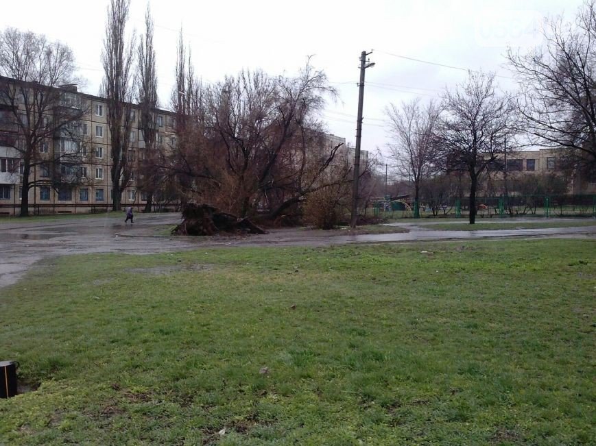 В Кривом Роге: во время урагана повалили памятник Ленину, дерево придавило машину, а в центре города появилась речка Косиорка (фото) - фото 3 В Кривом Роге: во время урагана повалили памятник Ленину, дерево придавило машину, а в центре города появилась речка Косиорка (фото) - фото 3