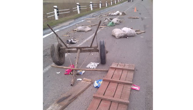 На Тернопільщині у ДТП загинув 61-річний чоловік (фото) - фото 1 На Тернопільщині у ДТП загинув 61-річний чоловік (фото) - фото 1