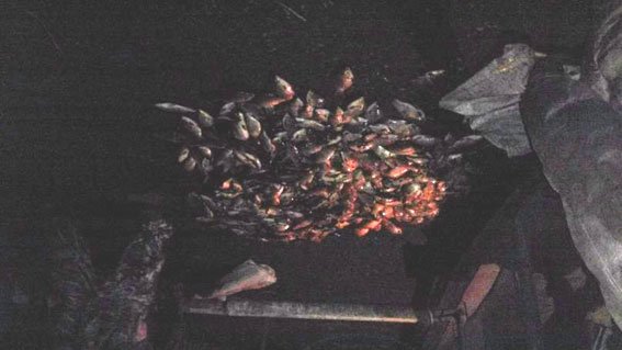 В Кременчугском районе поймали браконьера, поймавшего рыбы на 15 000 гривен (ФОТО) (фото) - фото 1 В Кременчугском районе поймали браконьера, поймавшего рыбы на 15 000 гривен (ФОТО) (фото) - фото 1