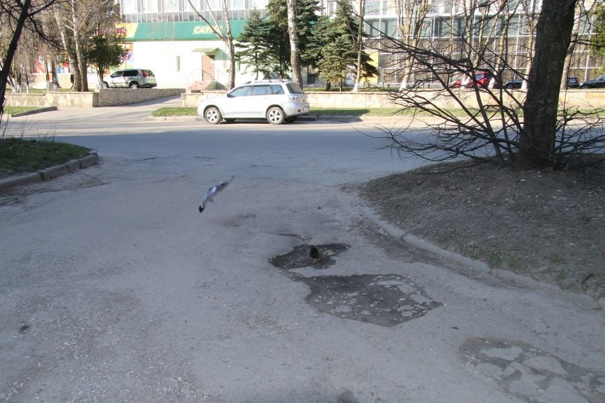 Ями до 15 см глибини: тернополяни просять відремонтувати міжбудинкову територію на бул. С. Петлюри (фото) (фото) - фото 1 Ями до 15 см глибини: тернополяни просять відремонтувати міжбудинкову територію на бул. С. Петлюри (фото) (фото) - фото 1