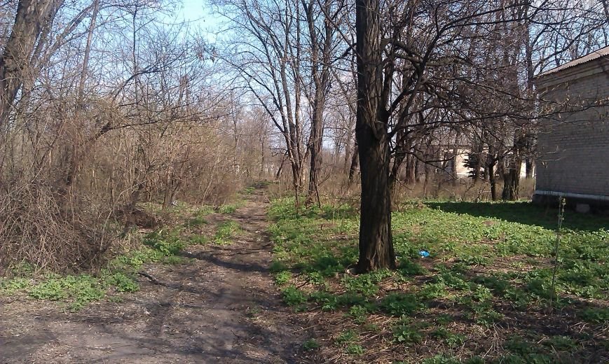 Во что превратилась Белицкая городская больница (фото) - фото 1 Во что превратилась Белицкая городская больница (фото) - фото 1