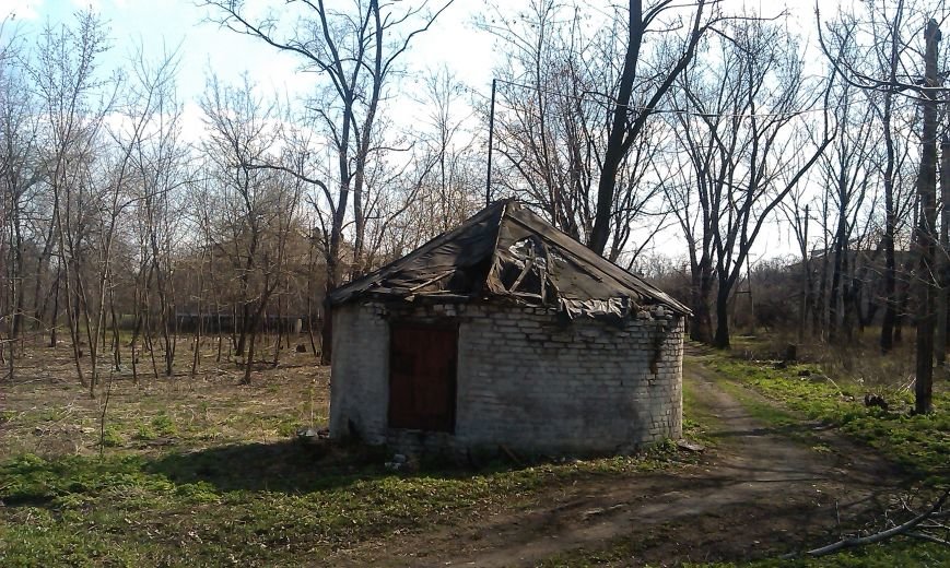 Во что превратилась Белицкая городская больница (фото) - фото 1 Во что превратилась Белицкая городская больница (фото) - фото 1