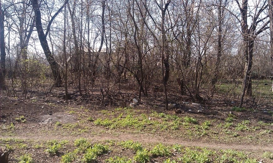 Во что превратилась Белицкая городская больница (фото) - фото 1 Во что превратилась Белицкая городская больница (фото) - фото 1