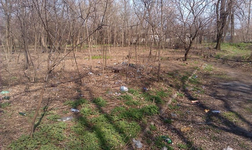 Во что превратилась Белицкая городская больница (фото) - фото 1 Во что превратилась Белицкая городская больница (фото) - фото 1