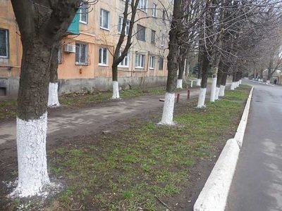 «Чистый четверг» в Макеевке: жители приводят город в порядок после зимы (фото) - фото 1 «Чистый четверг» в Макеевке: жители приводят город в порядок после зимы (фото) - фото 1