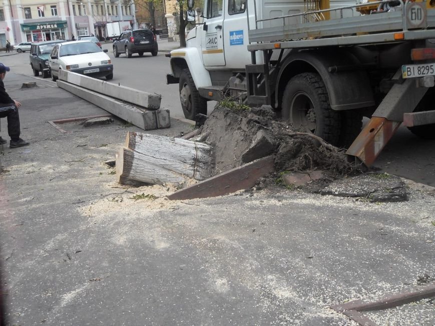 У центрі Полтави негода викорчувала дерево (ФОТО) (фото) - фото 1 У центрі Полтави негода викорчувала дерево (ФОТО) (фото) - фото 1
