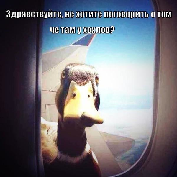 х44 х44
