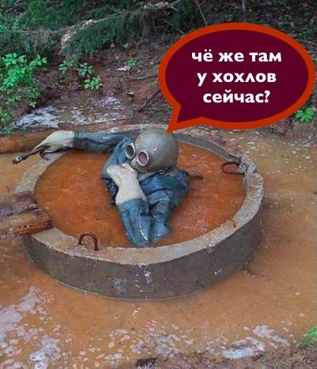 х8 х8