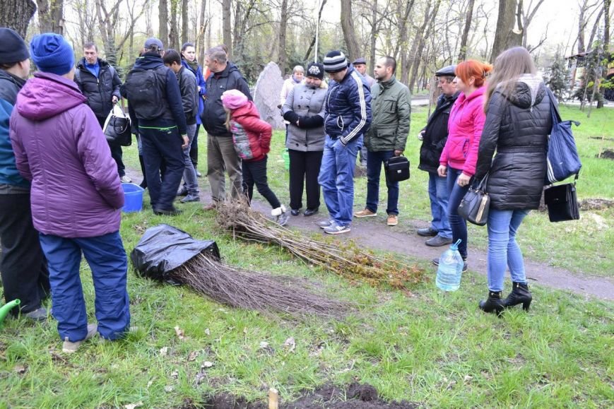 Криворожане увековечили память о погибших бойцах, посадив деревья на «Аллее Героев» (ФОТО, ВИДЕО) (фото) - фото 1 Криворожане увековечили память о погибших бойцах, посадив деревья на «Аллее Героев» (ФОТО, ВИДЕО) (фото) - фото 1