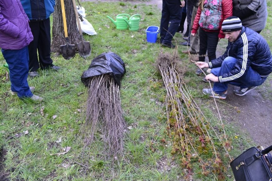 Криворожане увековечили память о погибших бойцах, посадив деревья на «Аллее Героев» (ФОТО, ВИДЕО) (фото) - фото 1 Криворожане увековечили память о погибших бойцах, посадив деревья на «Аллее Героев» (ФОТО, ВИДЕО) (фото) - фото 1