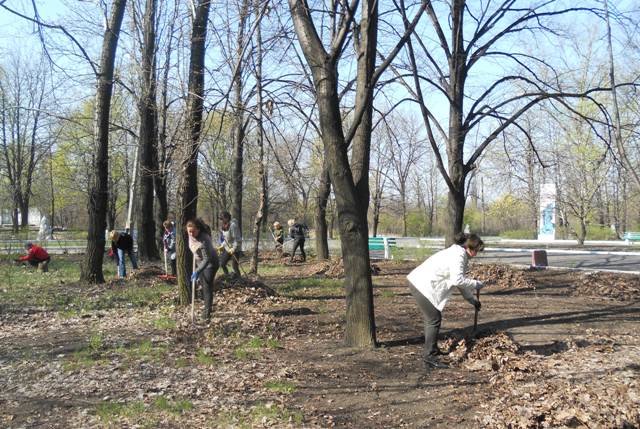 В Доброполье состоялась акция по уборке городского парка (фото) - фото 2 В Доброполье состоялась акция по уборке городского парка (фото) - фото 2