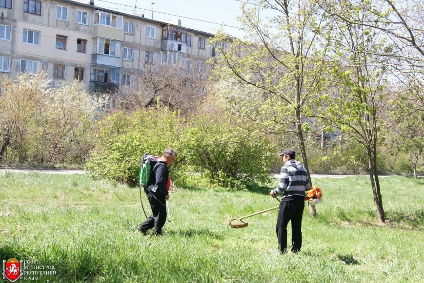Аксенов высадил деревья в симферопольском парке и планирует подобные акции проводить каждые выходные (ФОТО) (фото) - фото 6 Аксенов высадил деревья в симферопольском парке и планирует подобные акции проводить каждые выходные (ФОТО) (фото) - фото 6