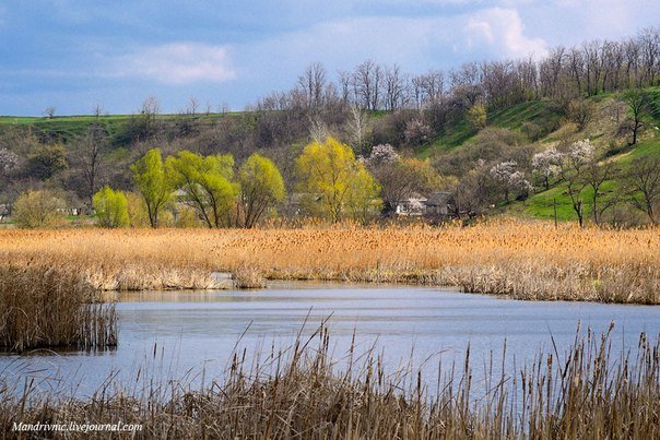 село5 село5