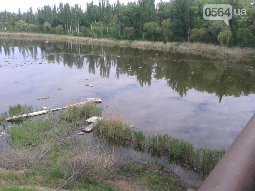 В Кривом Роге: в реку сбросили листы стекловаты, гаишники поймали автоугонщика, в город вернулись 400 бойцов (фото) - фото 1 В Кривом Роге: в реку сбросили листы стекловаты, гаишники поймали автоугонщика, в город вернулись 400 бойцов (фото) - фото 1