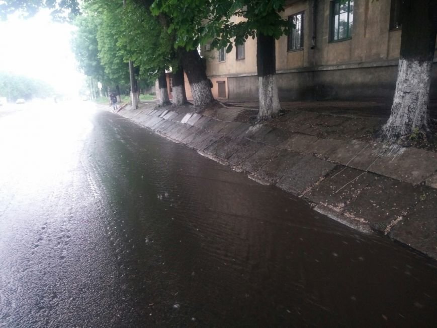 петровского3 петровского3