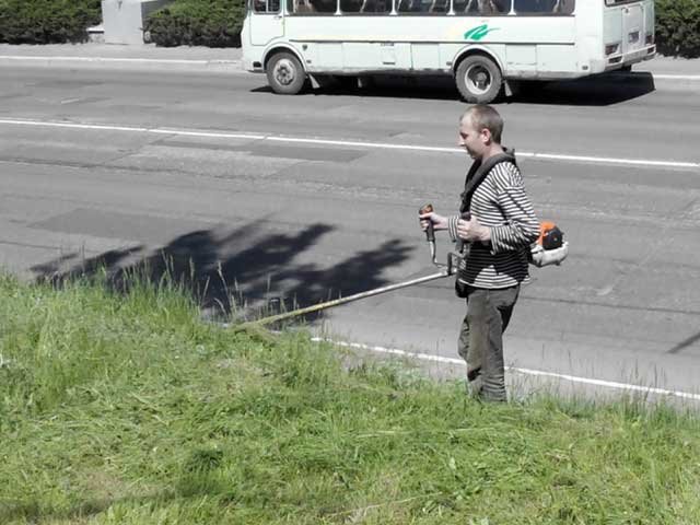 В Макеевке косят! Городские власти занялись покосом карантинных растений и сорняков (фото) - фото 1 В Макеевке косят! Городские власти занялись покосом карантинных растений и сорняков (фото) - фото 1