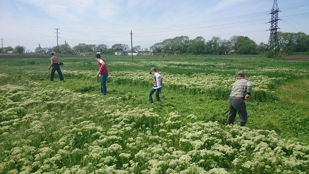 Под Одессой детвора запускает в небо десятки самолетов (Фото, видео) (фото) - фото 1 Под Одессой детвора запускает в небо десятки самолетов (Фото, видео) (фото) - фото 1