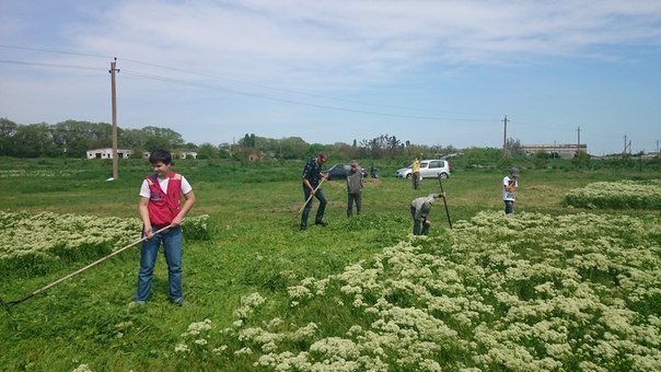 Под Одессой детвора запускает в небо десятки самолетов (Фото, видео) (фото) - фото 1 Под Одессой детвора запускает в небо десятки самолетов (Фото, видео) (фото) - фото 1