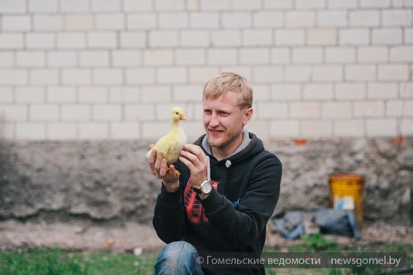 Гомельчанин разводит гусей, выращивает орехи и строит свой «ковчег» (фото) - фото 3 Гомельчанин разводит гусей, выращивает орехи и строит свой «ковчег» (фото) - фото 3