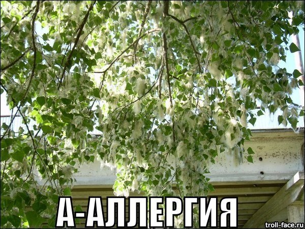 Аллергия, «Брусничка», «Лайф» и планы на лето: фотожабы недели (фото) - фото 5 Аллергия, «Брусничка», «Лайф» и планы на лето: фотожабы недели (фото) - фото 5