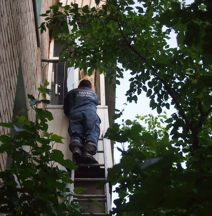 В Днепродзержинске спасатели помогли родным добраться к пожилому мужчине (фото) - фото 1 В Днепродзержинске спасатели помогли родным добраться к пожилому мужчине (фото) - фото 1