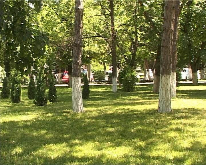В Армавире продолжаются мероприятия в рамках 70- летия Великой Победы (фото) - фото 1 В Армавире продолжаются мероприятия в рамках 70- летия Великой Победы (фото) - фото 1