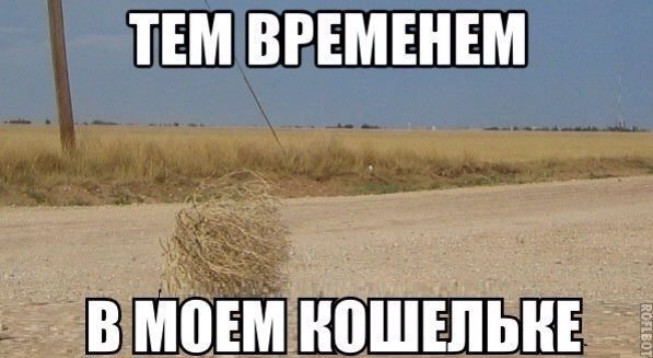 «Real Cola», гром - не гром и хорошо работать, если есть зарплата, - над чем смеялись макеевчане на этой неделе (фото) - фото 7