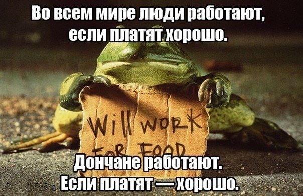 «Real Cola», гром - не гром и хорошо работать, если есть зарплата, - над чем смеялись макеевчане на этой неделе (фото) - фото 6