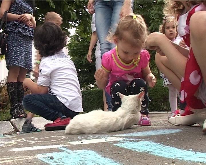 В Армавире день защиты детей отметили в поликлинике (фото) - фото 1 В Армавире день защиты детей отметили в поликлинике (фото) - фото 1