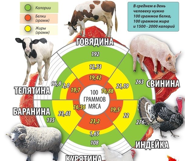 Свинина - для мужской силы, индюшатина - для женской талии (фото) - фото 1 Свинина - для мужской силы, индюшатина - для женской талии (фото) - фото 1