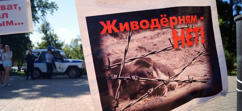 Бегущая неделя. Утечка мозгов из Белгорода, борьба коррупция и ожидания от волейбольной команды (фото) - фото 5 Бегущая неделя. Утечка мозгов из Белгорода, борьба коррупция и ожидания от волейбольной команды (фото) - фото 5