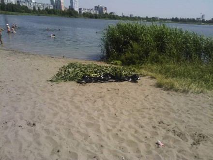 На столичном пляже обнаружили утопленника (ФОТО) (фото) - фото 1 На столичном пляже обнаружили утопленника (ФОТО) (фото) - фото 1